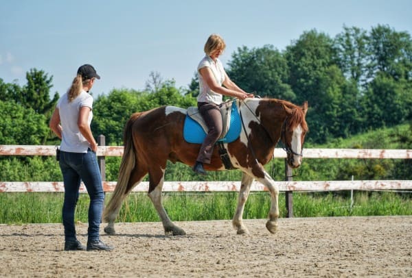 Miriam Sherman - Coach Horse and Rider - Straightness Training Instructor by Marijke de Jong - The 5 Elements - 01