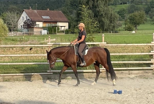 Miriam Sherman - Coach Horse and Rider - Straightness Training Instructor by Marijke de Jong - The 5 Elements - 03