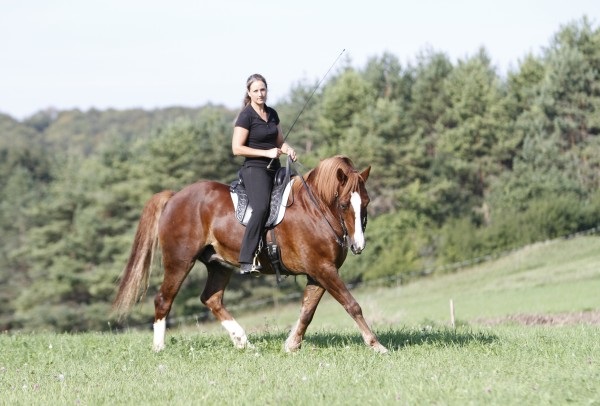 Miriam Sherman - Straightness Training Instructor by Marijke de Jong - The 5 elements - Riding & Liberty