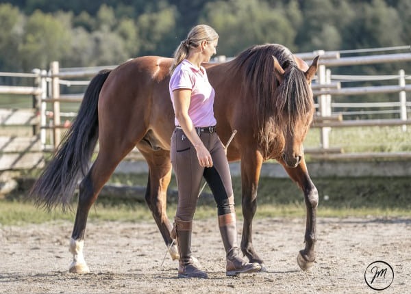 Miriam Sherman - Straightness Training Instructor by Marijke de Jong - The 5 elements - Liberty / Horsemanship -01