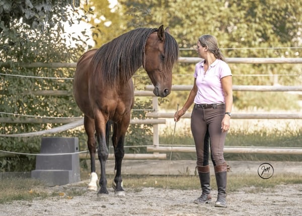 Miriam Sherman - Straightness Training Instructor by Marijke de Jong - Die 5 Elemente - Liberty / Horsemanship -04