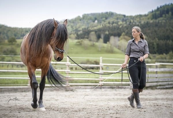 Miriam Sherman - Coach Pferd und Reiter - Straightness Training Instructor by Marijke de Jong - Die 5 Elemente - Longieren -01