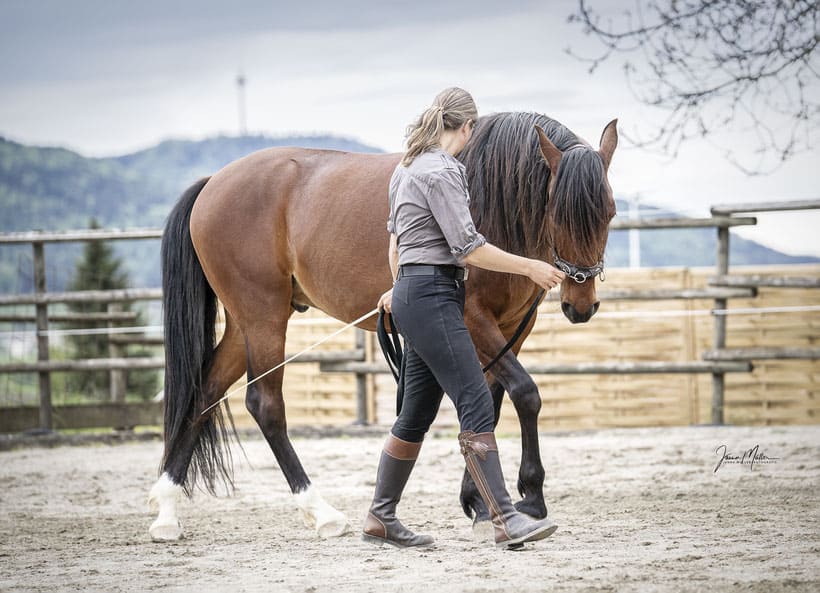 Miriam Sherman - Coach Pferd und Reiter - Straightness Training Instructor by Marijke de Jong - Pferde - Lucano 07/21