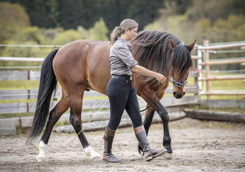 Miriam Sherman - Coach for horse and rider - Straightness Training Instructor by Marijke de Jong - Horses - Misfit 10/21