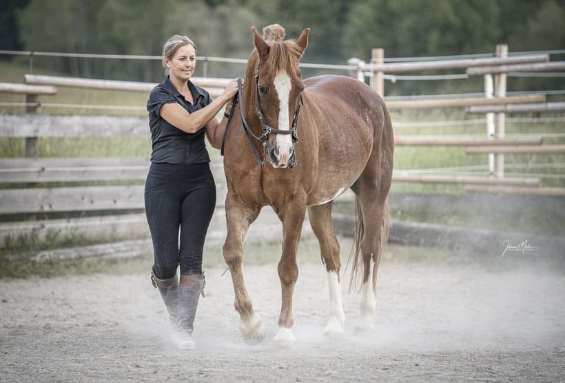 Miriam Sherman - Coach for horse and rider - Straightness Training Instructor by Marijke de Jong - Horses - Misfit 07/21