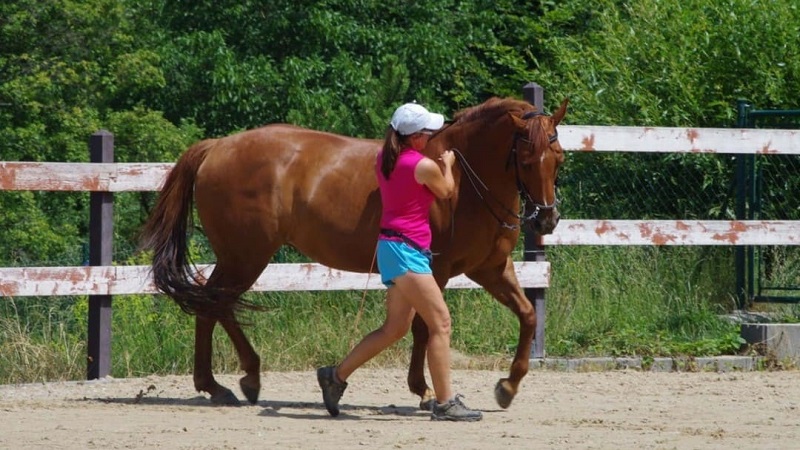 Miriam Sherman - Straightness Training Instructor by Marijke de Jong & Seat Instructor by Hanna Engström - Classes - Gallery 05