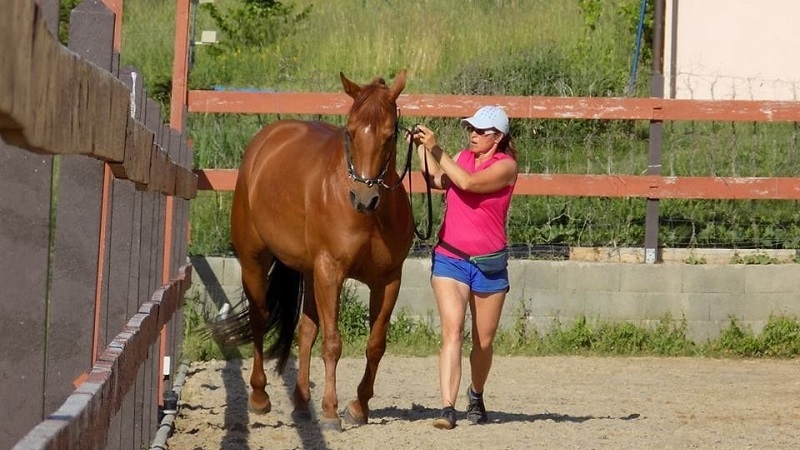 Miriam Sherman - Straightness Training Instructor by Marijke de Jong & Seat Instructor by Hanna Engström - Classes - Gallery 06