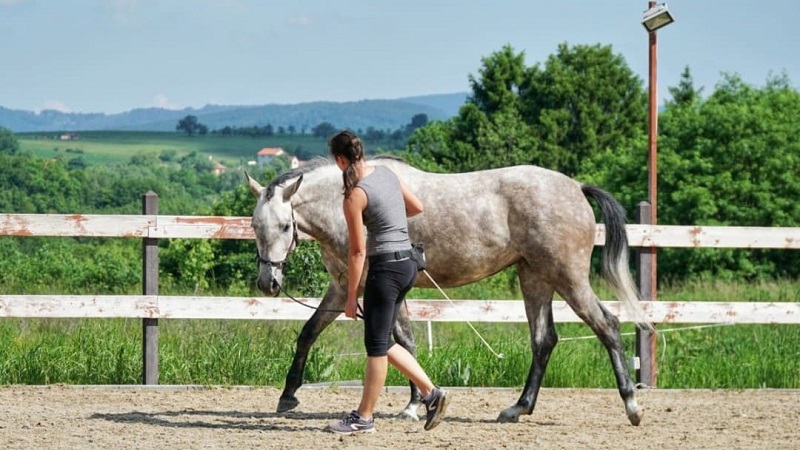 Miriam Sherman - Straightness Training Instructor by Marijke de Jong & Seat Instructor by Hanna Engström - Classes - Gallery 09