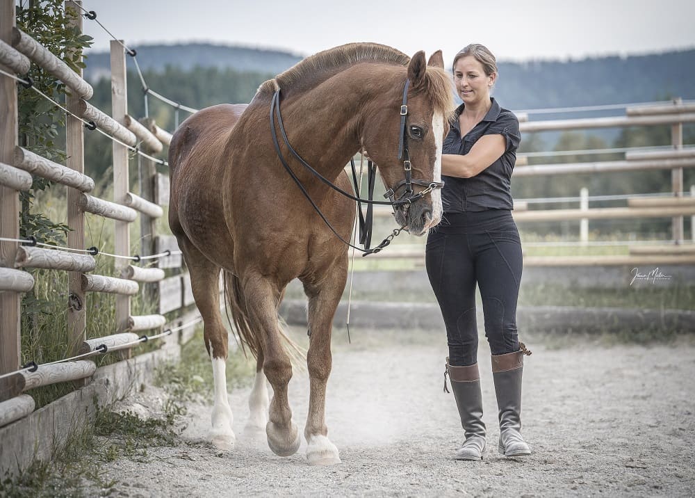 Miriam Sherman - Coach Reiter und Pferd - Straightness Training Instructor by Marijke de Jong und Sitzschulung by Hanna Engström - News - 01 2022