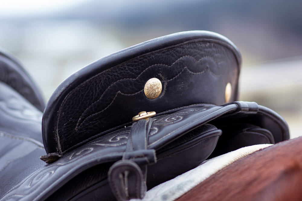 Miriam Sherman - Coach for horse and rider - Straightness Training Instructor by Marijke de Jong & Seat Instructor Sitzschulung by Hanna Engström - News - Photo Session Saddle