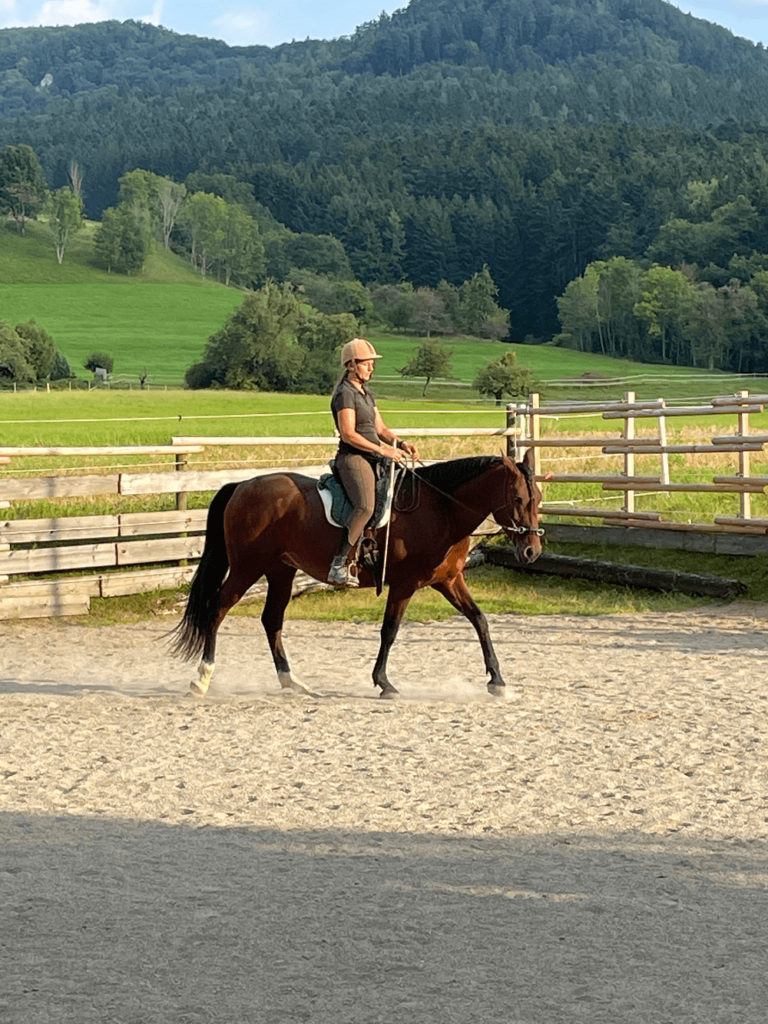 Miriam Sherman - Coach for horse and rider - Straightness Training Instructor by Marijke de Jong & Seat Instructor Sitzschulung by Hanna Engström - News - 04 2022
