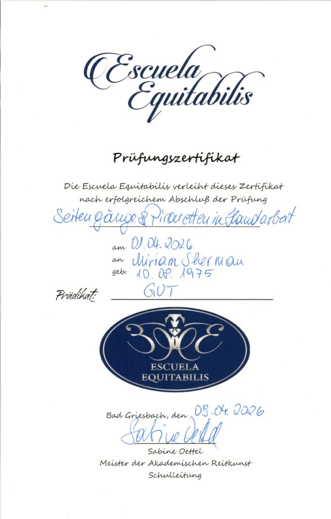 Seitengaenge Pirouetten in Handarbeit