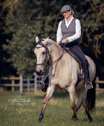 Kurs mit Sabine Oettel 1 miriam sherman coach fuer pferd und reiter news 05 2026 03