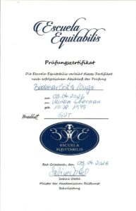 Miriam Sherman - Coach Pferd & Reiter - Bodenarbeit & Longe - Zertifkat